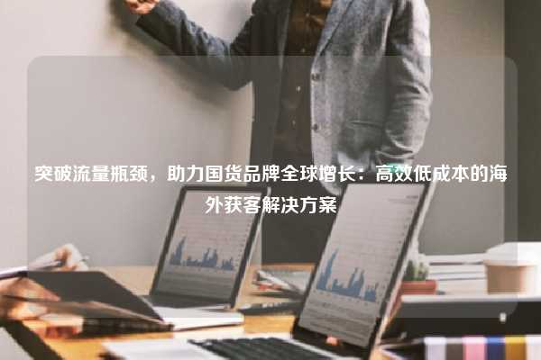 突破流量瓶颈，助力国货品牌全球增长：高效低成本的海外获客解决方案