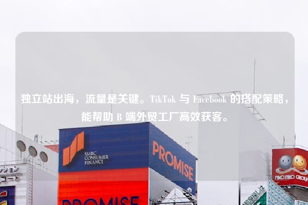 独立站出海，流量是关键。TikTok 与 Facebook 的搭配策略，能帮助 B 端外贸工厂高效获客。