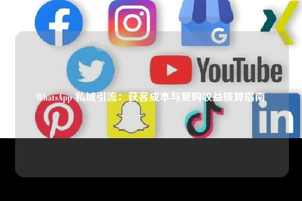 WhatsApp 私域引流：获客成本与复购收益核算指南