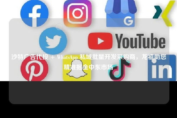 沙特广告代投 + WhatsApp 私域批量开发采购商，龙禧助您精准掘金中东市场