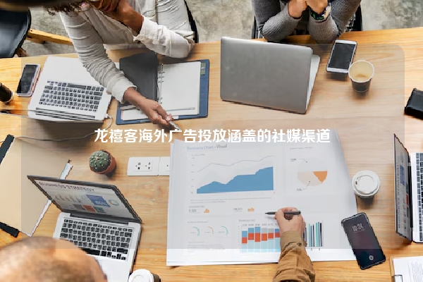 龙禧客海外广告投放涵盖的社媒渠道