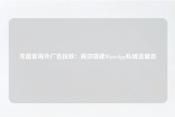 龙禧客海外广告投放：高效搭建WhatsApp私域流量池