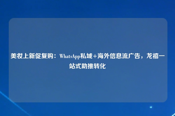 美妆上新促复购：WhatsApp私域+海外信息流广告，龙禧一站式助推转化