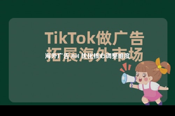 海外广告 ROI 优化核心调整维度