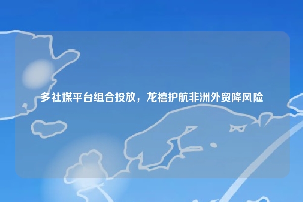 多社媒平台组合投放，龙禧护航非洲外贸降风险