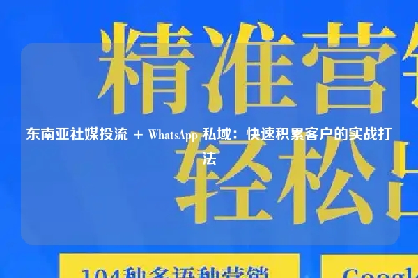 东南亚社媒投流 + WhatsApp 私域：快速积累客户的实战打法