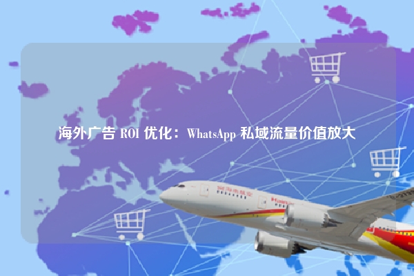 海外广告 ROI 优化：WhatsApp 私域流量价值放大