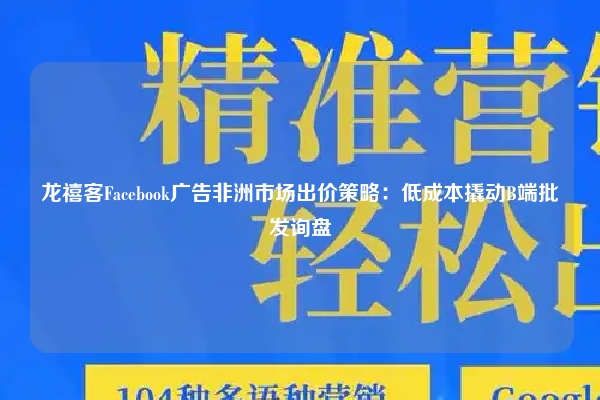 龙禧客Facebook广告非洲市场出价策略：低成本撬动B端批发询盘