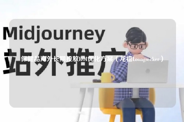 保健品海外长期投放ROI优化方案（龙禧Loongseeker）
