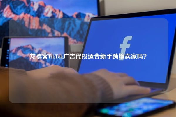 龙禧客TikTok广告代投适合新手跨境卖家吗？