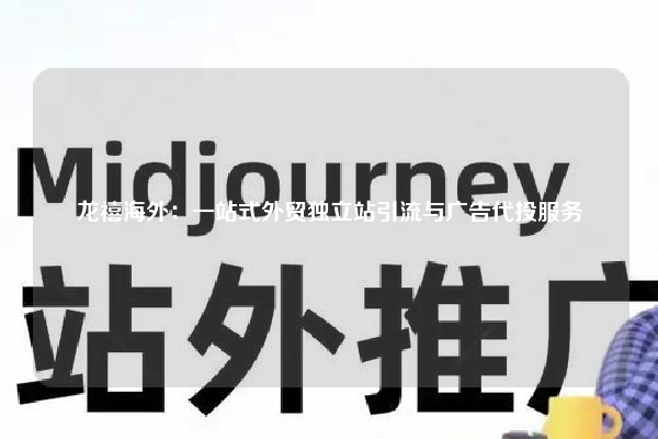 龙禧海外：一站式外贸独立站引流与广告代投服务