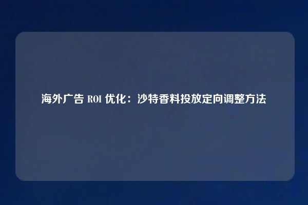海外广告 ROI 优化：沙特香料投放定向调整方法